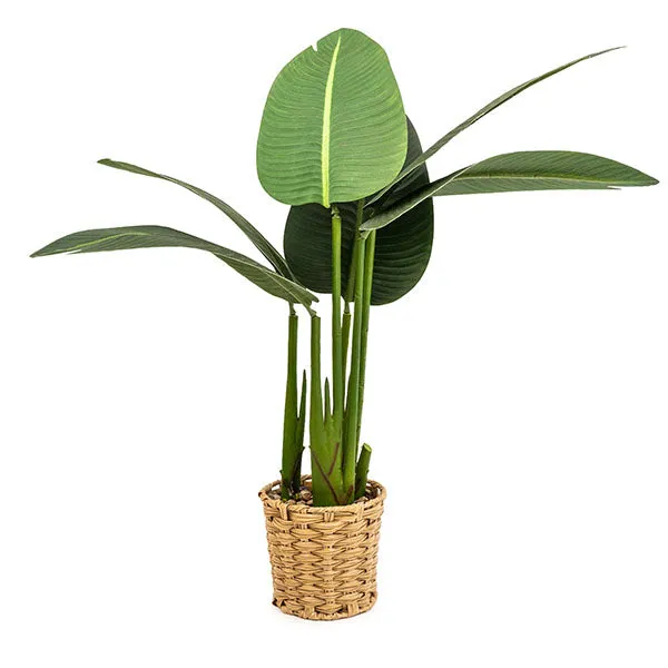 80CM Green Artificial Leaves in a Beige Wicker Pot