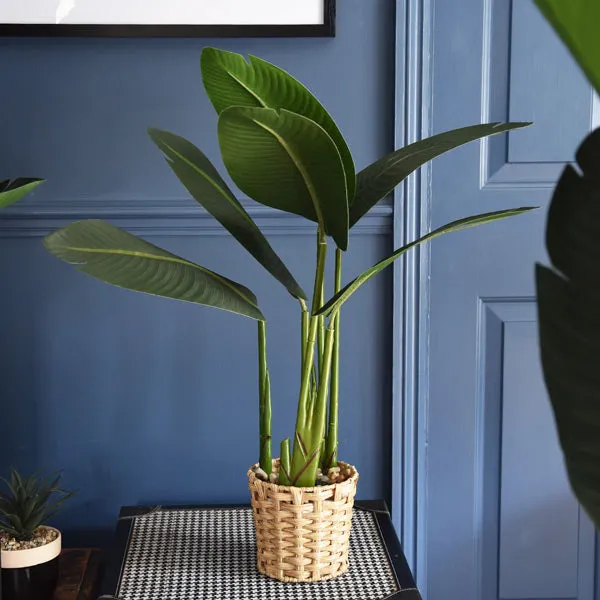 80CM Green Artificial Leaves in a Beige Wicker Pot