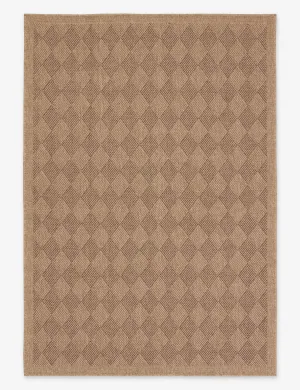 Adisa Indoor / Outdoor Rug
