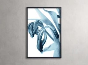 After Flowers Framed Print