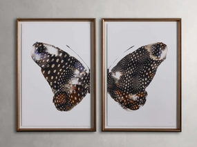 Aile Framed Print (Set of 2)