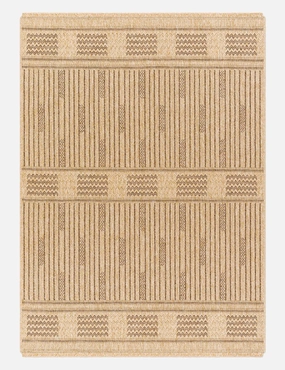 Alasa Indoor / Outdoor Rug