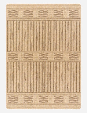Alasa Indoor / Outdoor Rug
