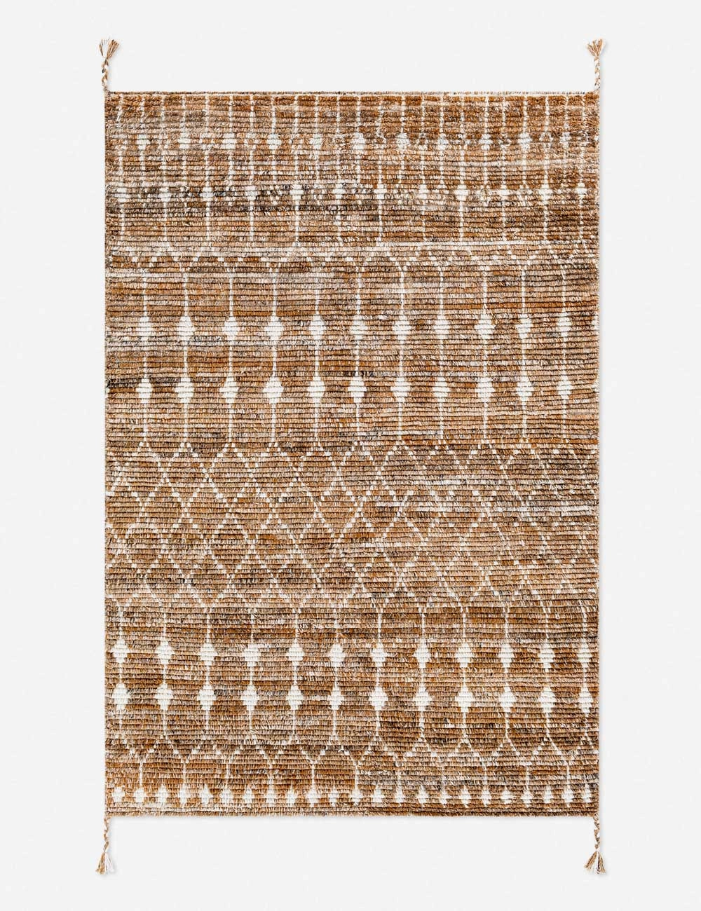 Amani Indoor / Outdoor Rug