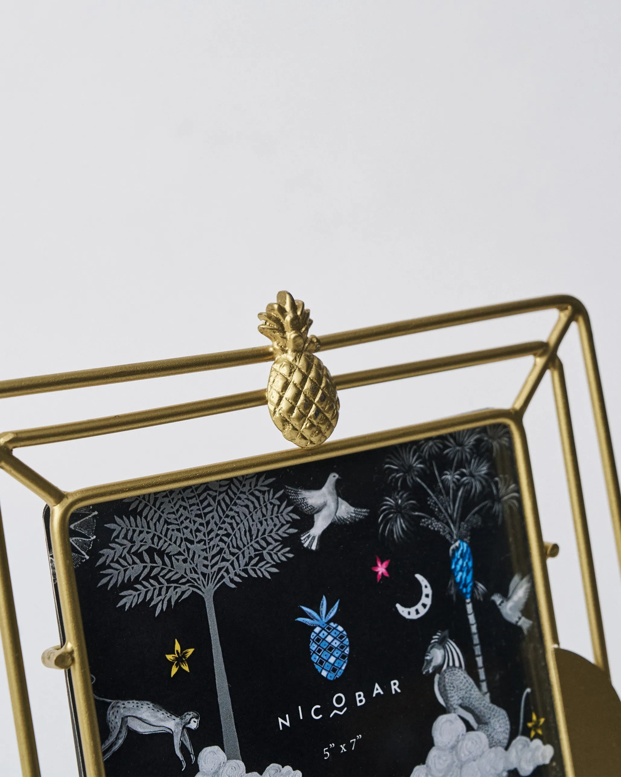 Ananas Photo Frame