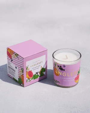 Anglesey Jar Candle barware set, cocktail shaker