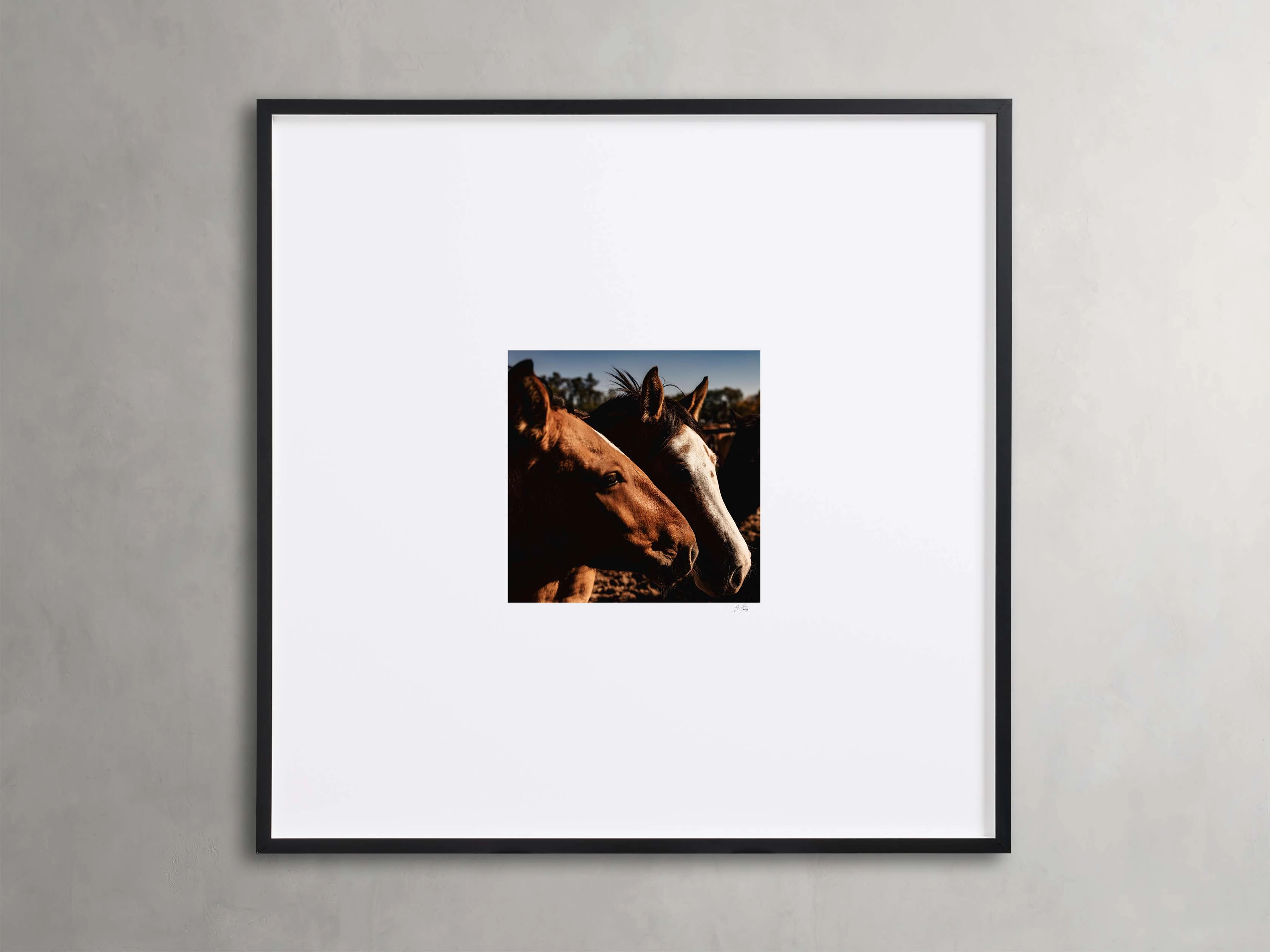 Argentina Horses  I Framed Print