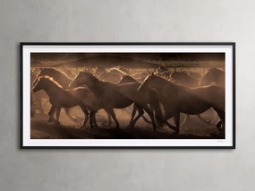 Argentina Horses II Framed Print