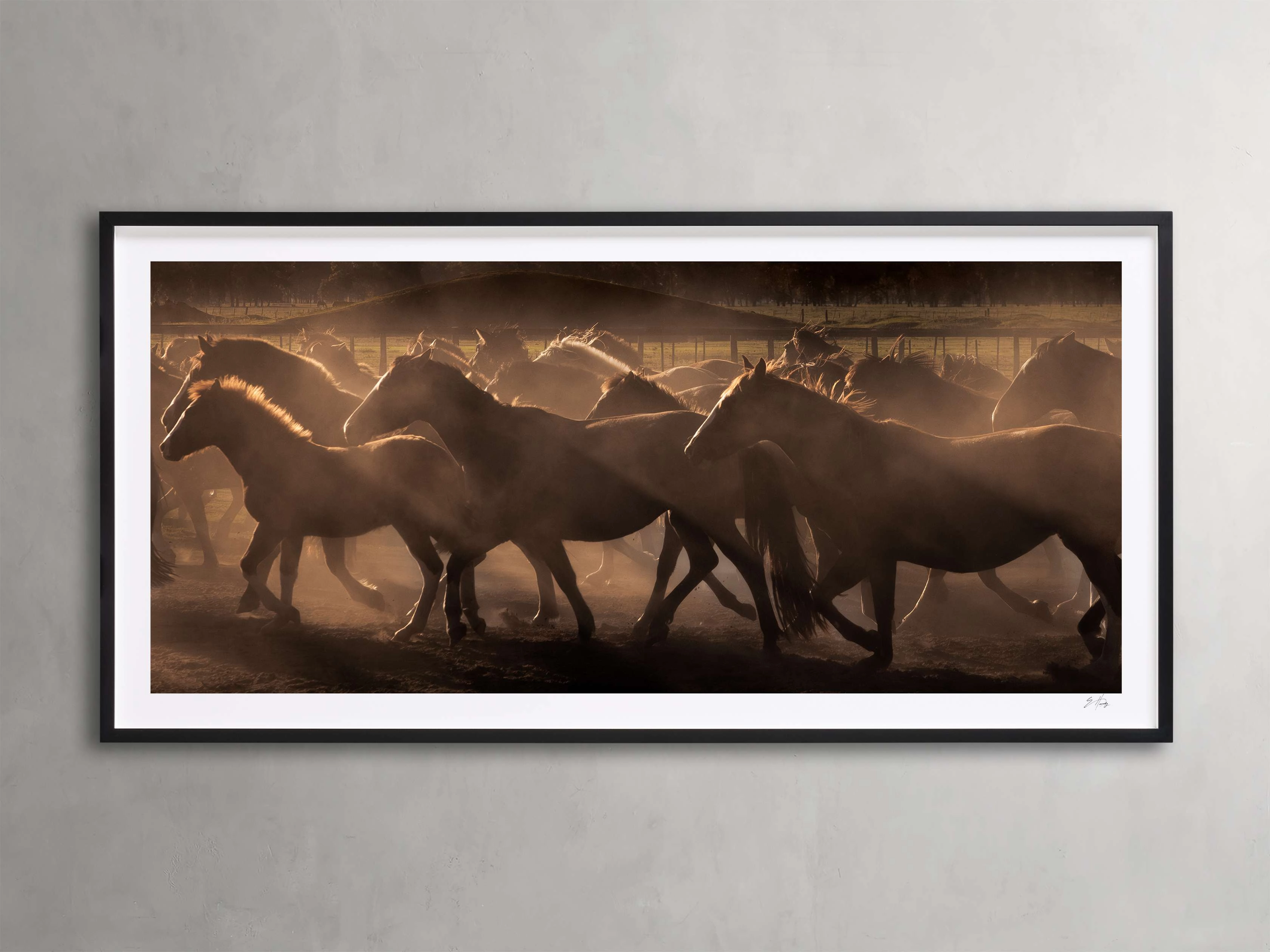Argentina Horses II Framed Print