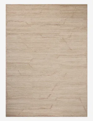 Asaiah Hand-Knotted Wool Rug