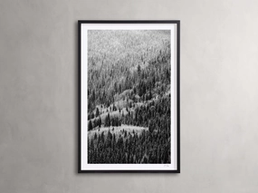 Aspen Allure II Framed Print