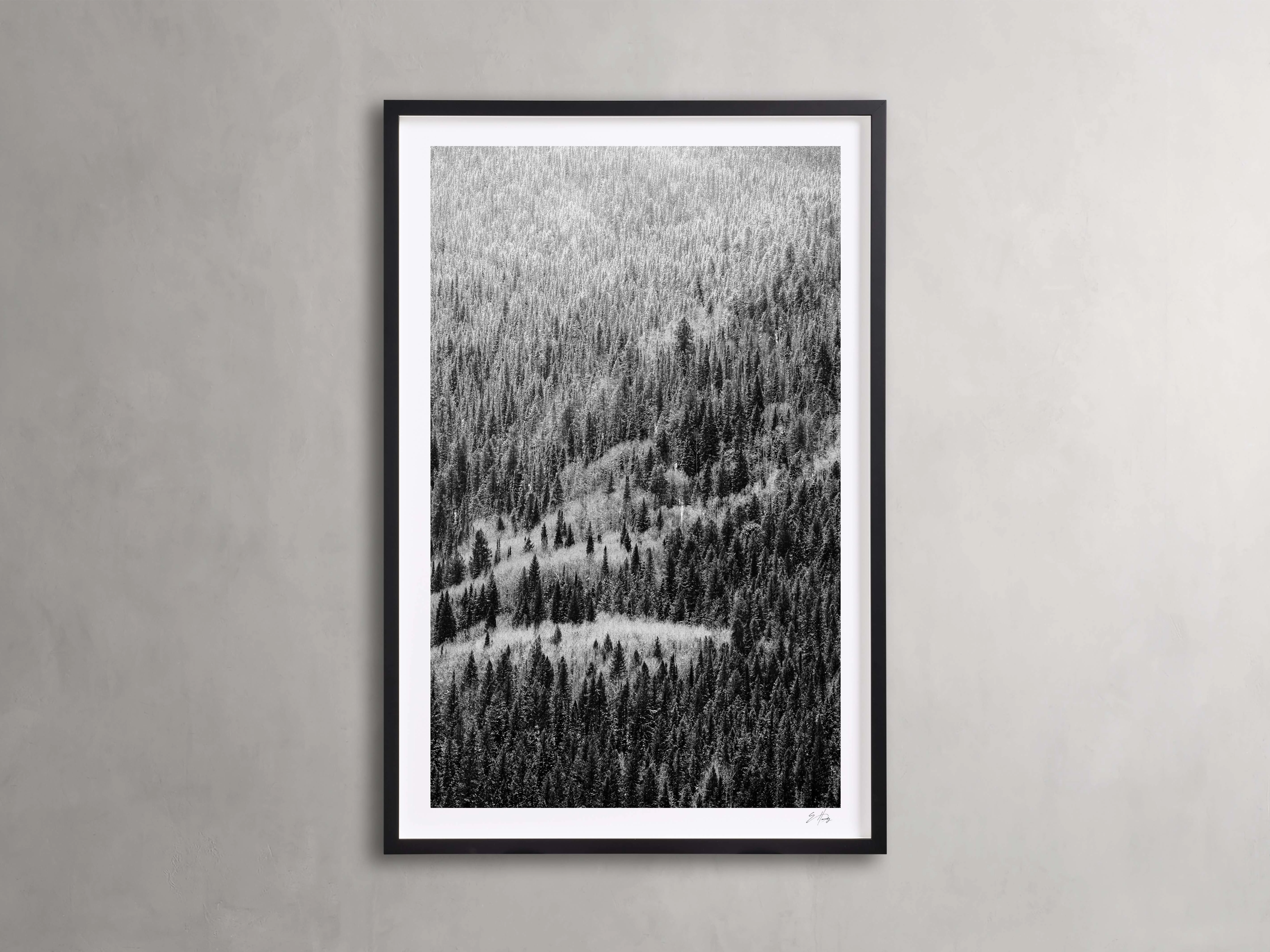 Aspen Allure II Framed Print