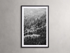 Aspen Allure II Framed Print