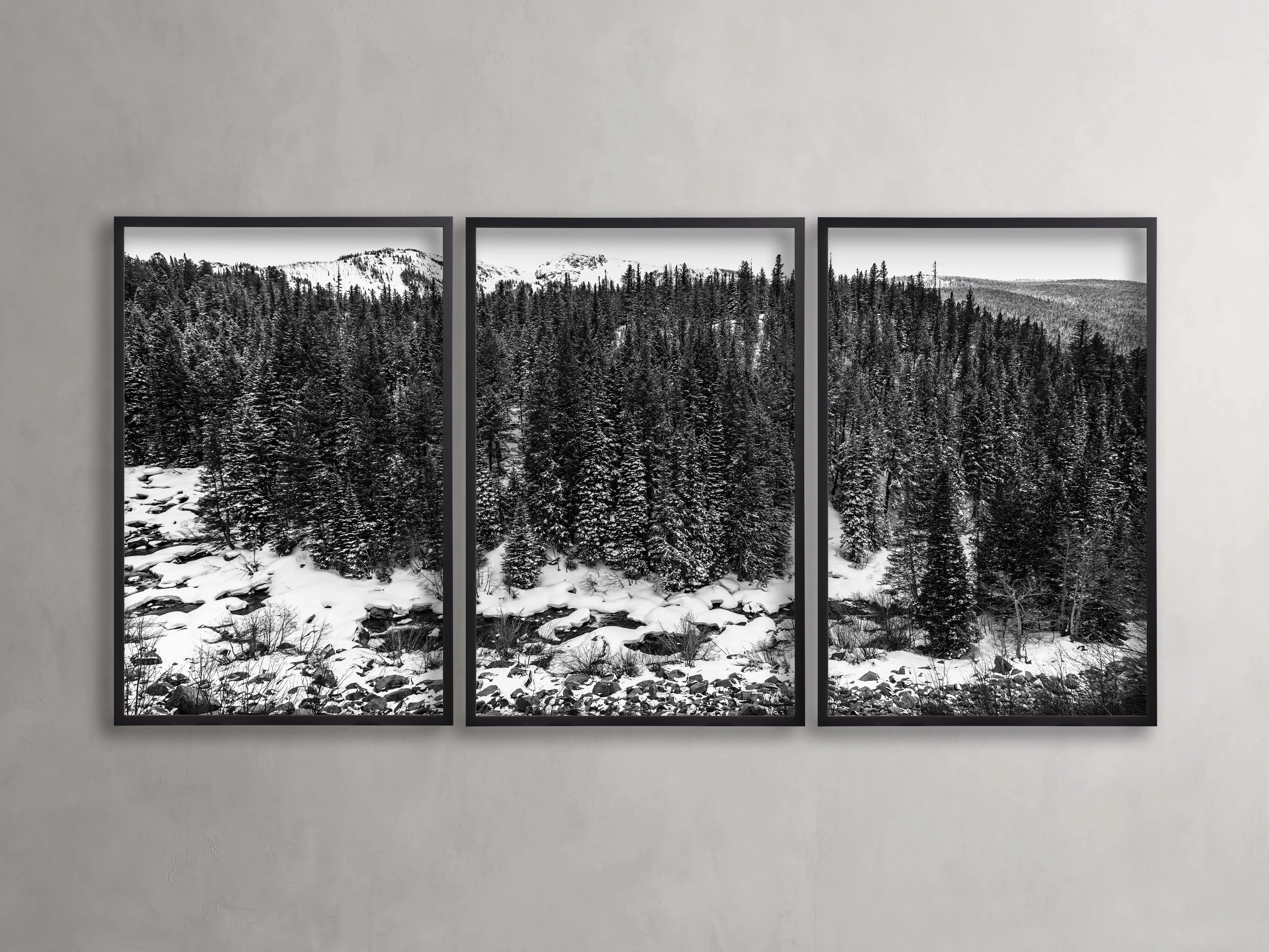 Aspen Allure III Framed Print (Set of 3)