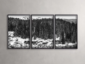 Aspen Allure III Framed Print (Set of 3)