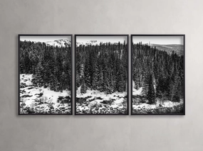 Aspen Allure III Framed Print (Set of 3)