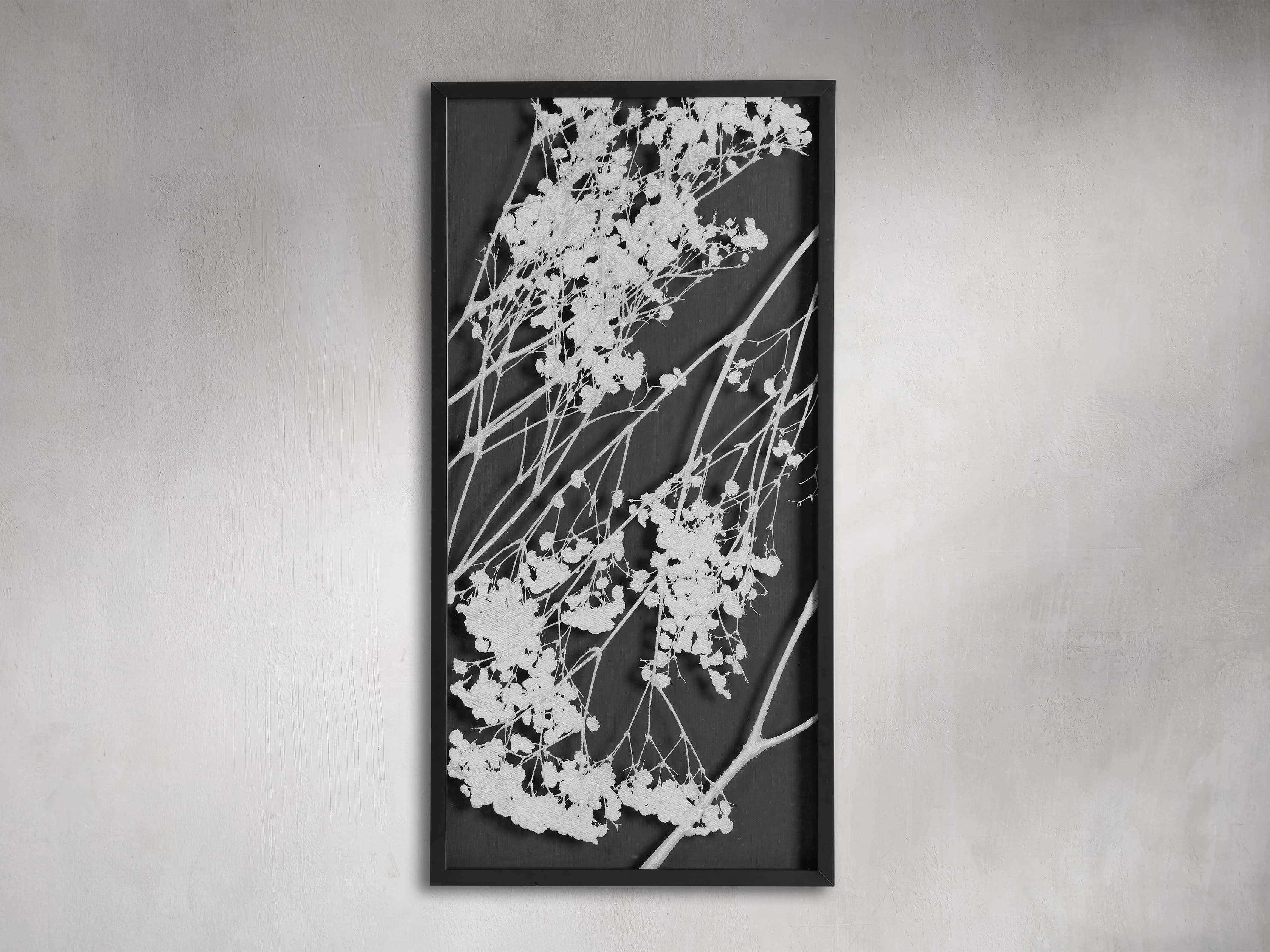 Baby's Breath I Framed Print