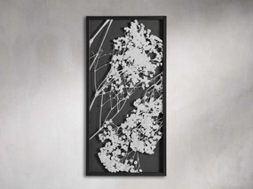 Baby's Breath II Framed Print