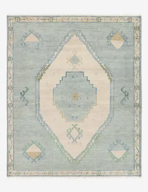 Berker Hand-Knotted Wool Rug