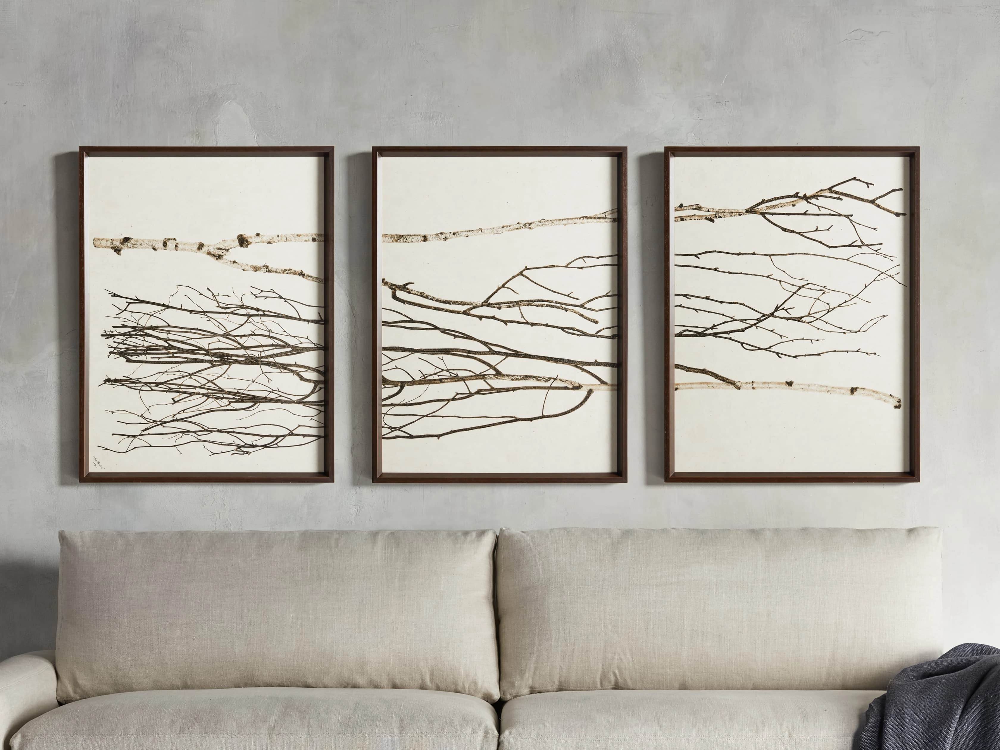 Birch Framed Print (Set of 3)