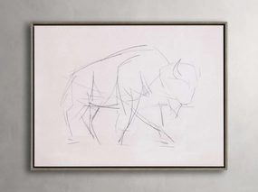 Bison Study Framed Print