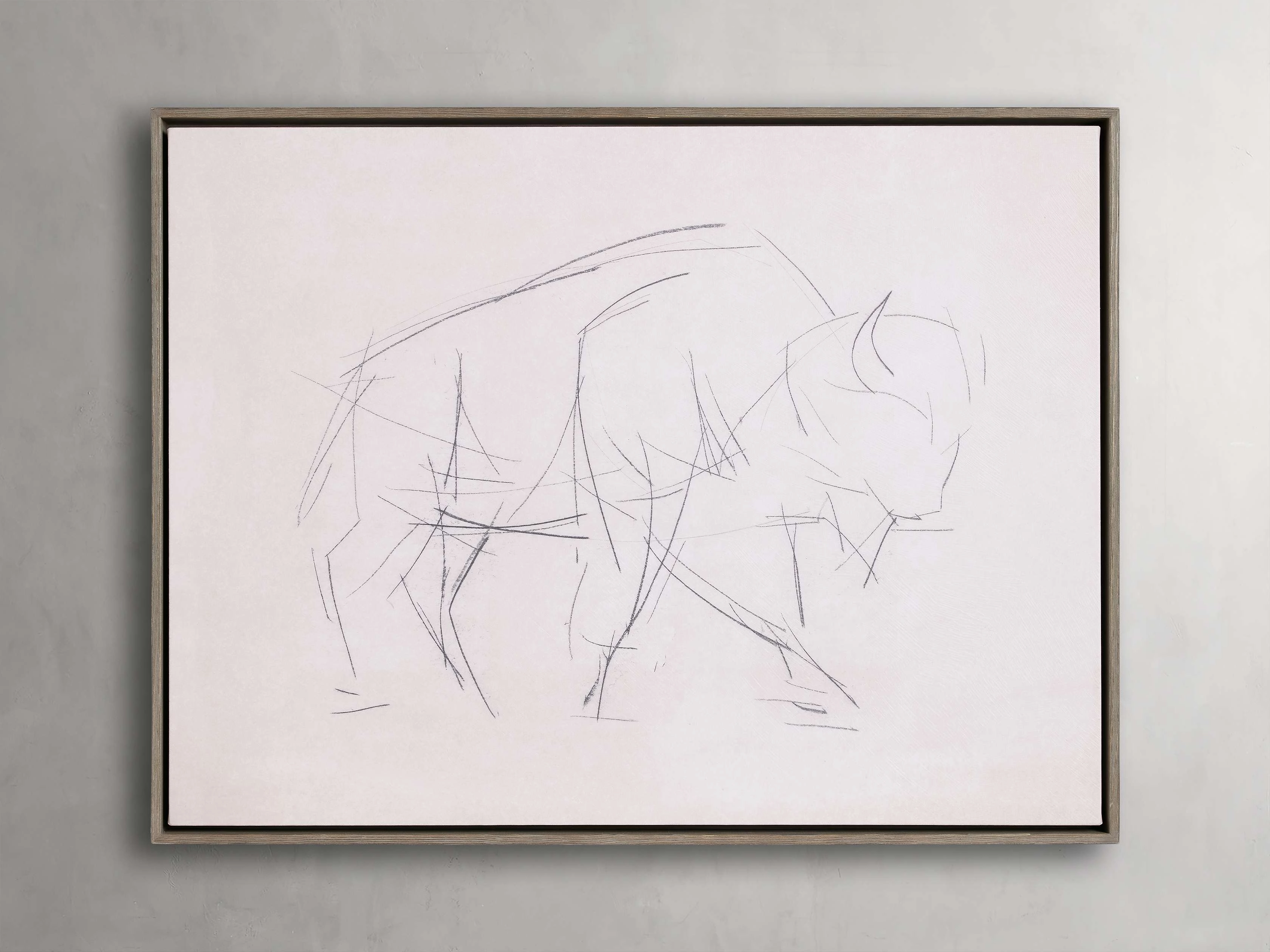 Bison Study Framed Print