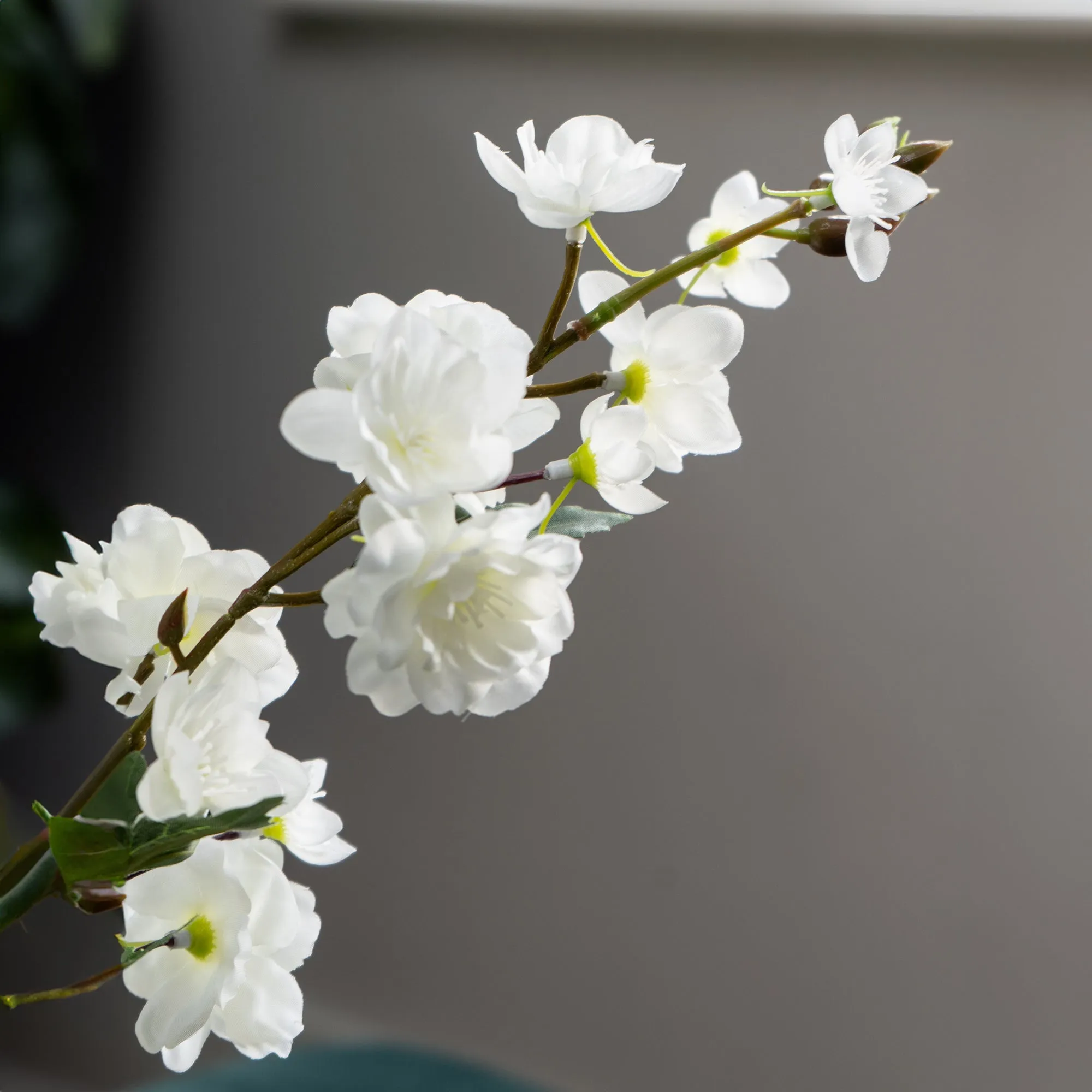 Blossom In Ceramic Bottle Vase