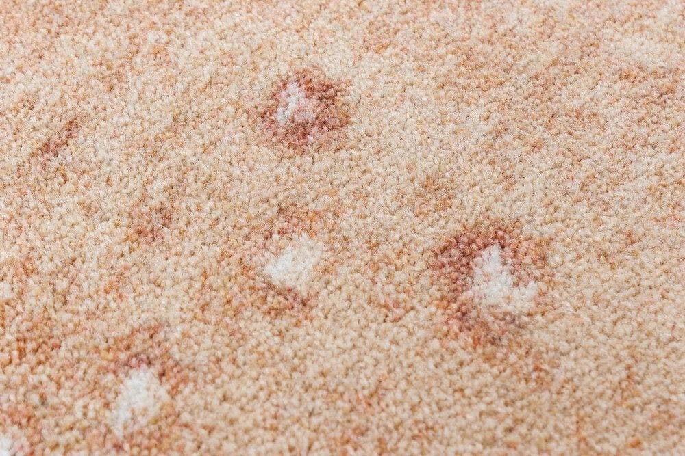 Blush Spotted Axis Area Rug
