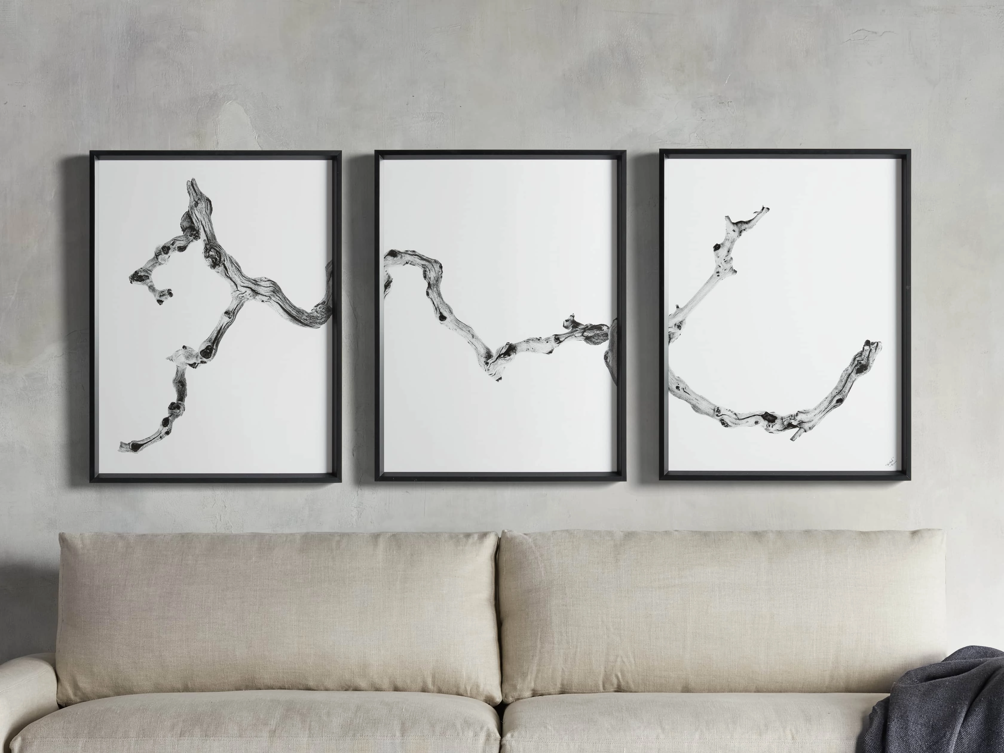 Branch Framed Print (Set of 3)