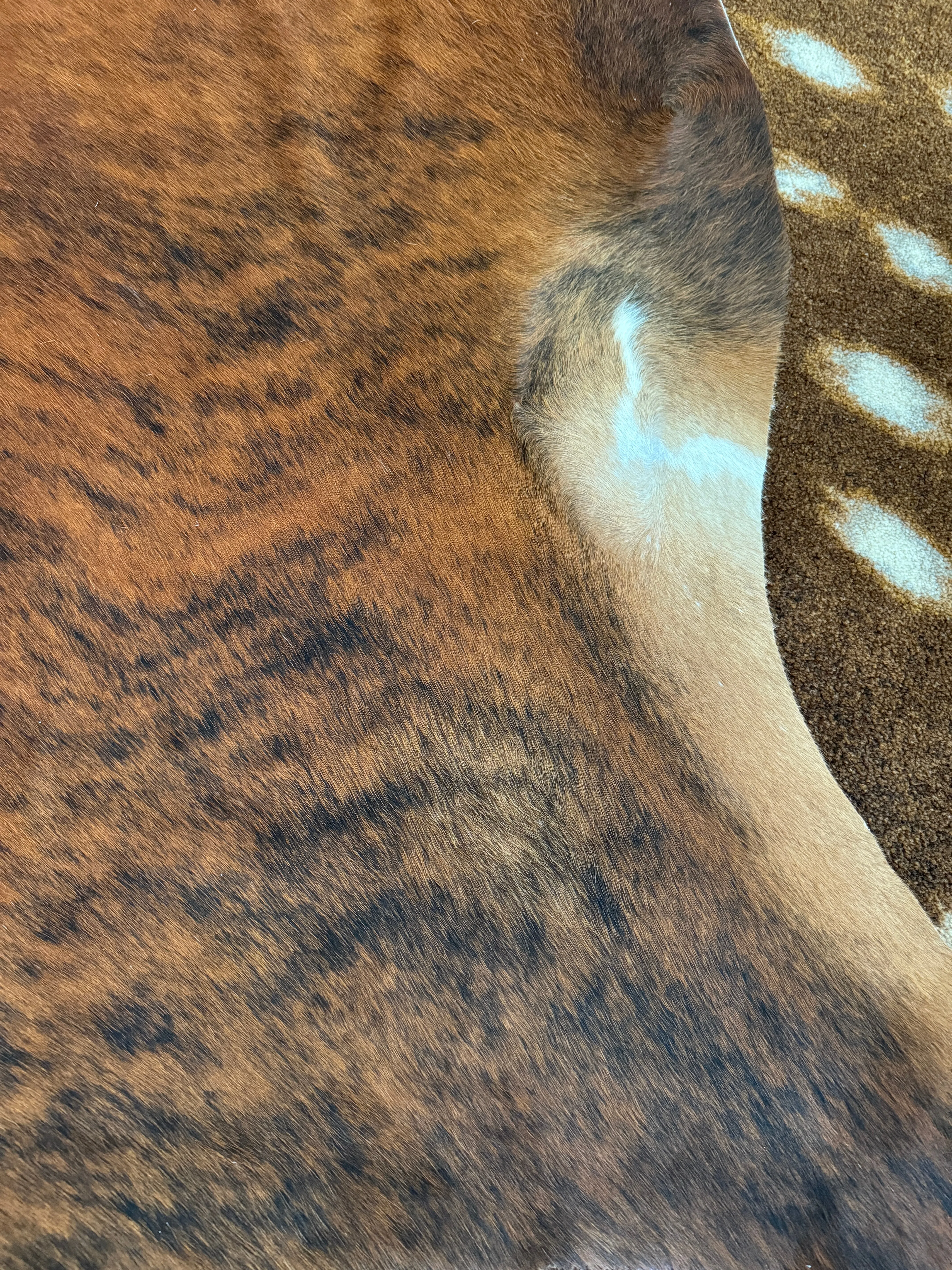 Brazilian Brindle Cowhide Rug XL