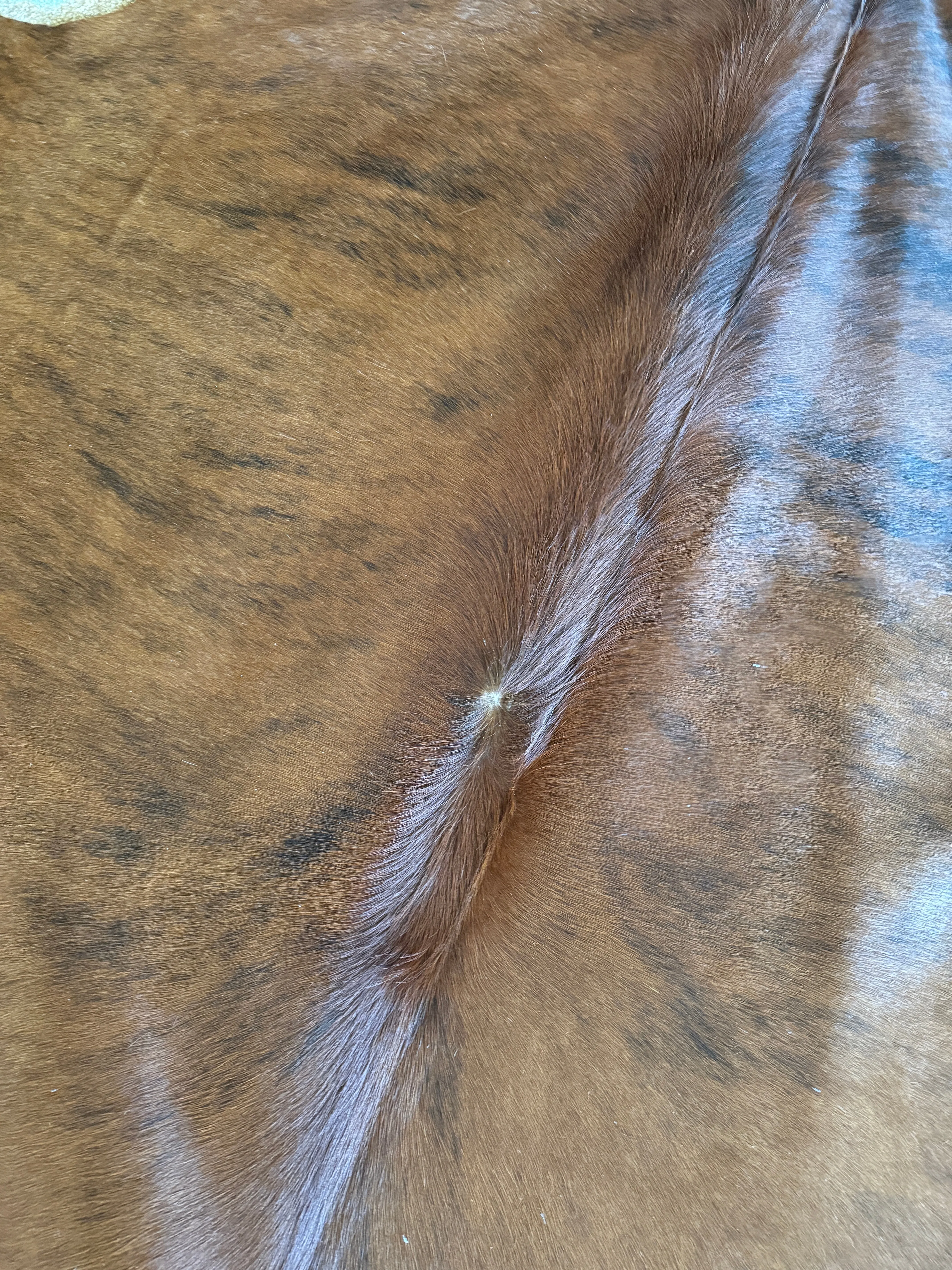 Brazilian Brindle Cowhide Rug XL