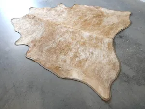 Brindle Beige Cowhide w/ Leather Trim wall decor, home accessories
