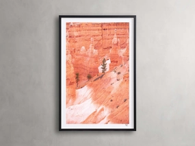 Bryce Canyon III Framed Print
