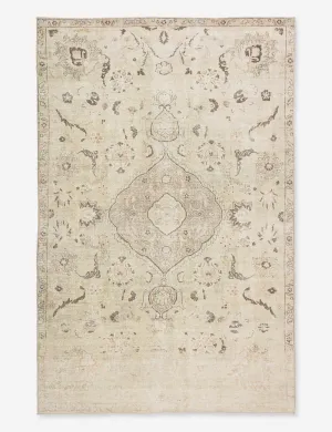 Cadencia Rug
