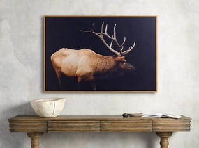 Caribou Framed Print