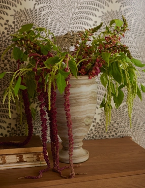 Cesar Vase