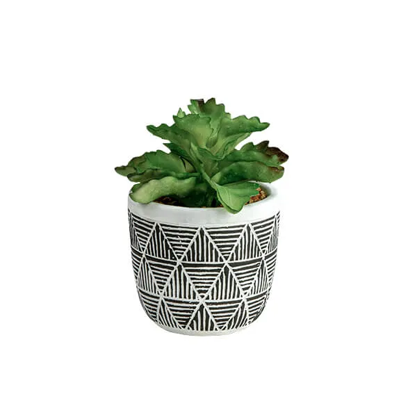 Chic Green Lifelike Succulent in Black and White Geometric Pot