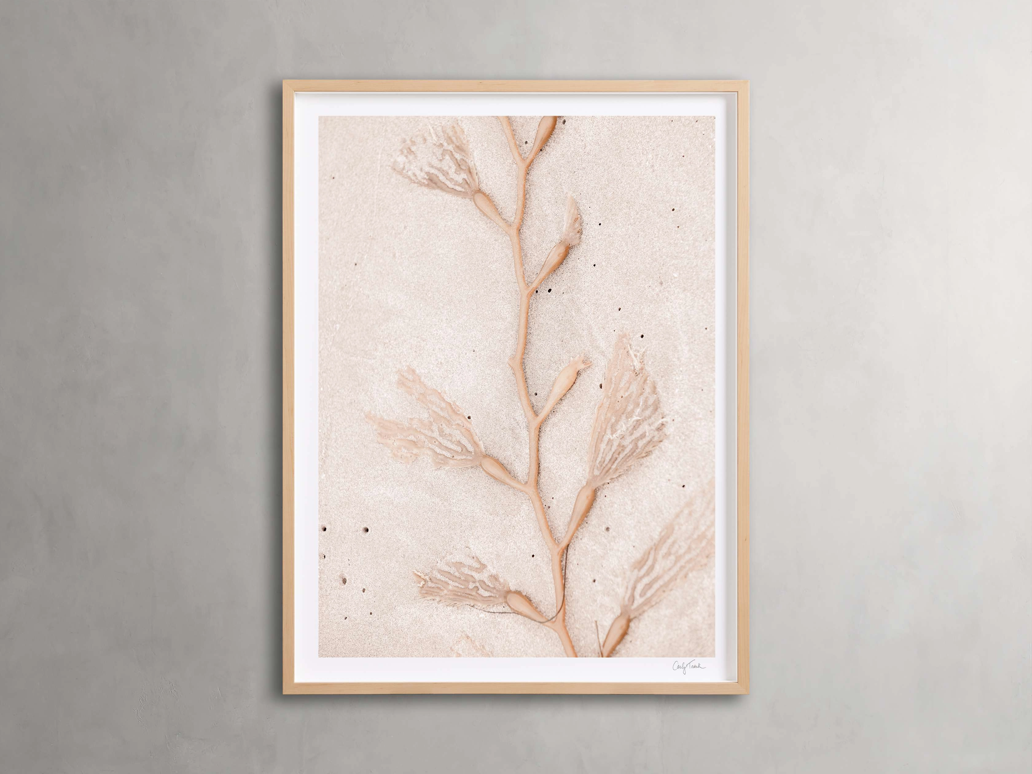 Coastal Radiance Framed Print