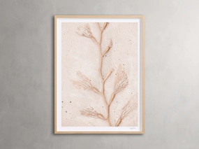 Coastal Radiance Framed Print