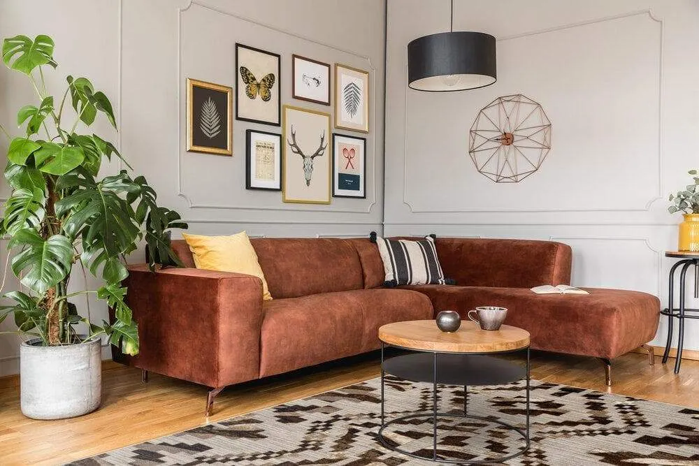 Curio Zebra Area Rug