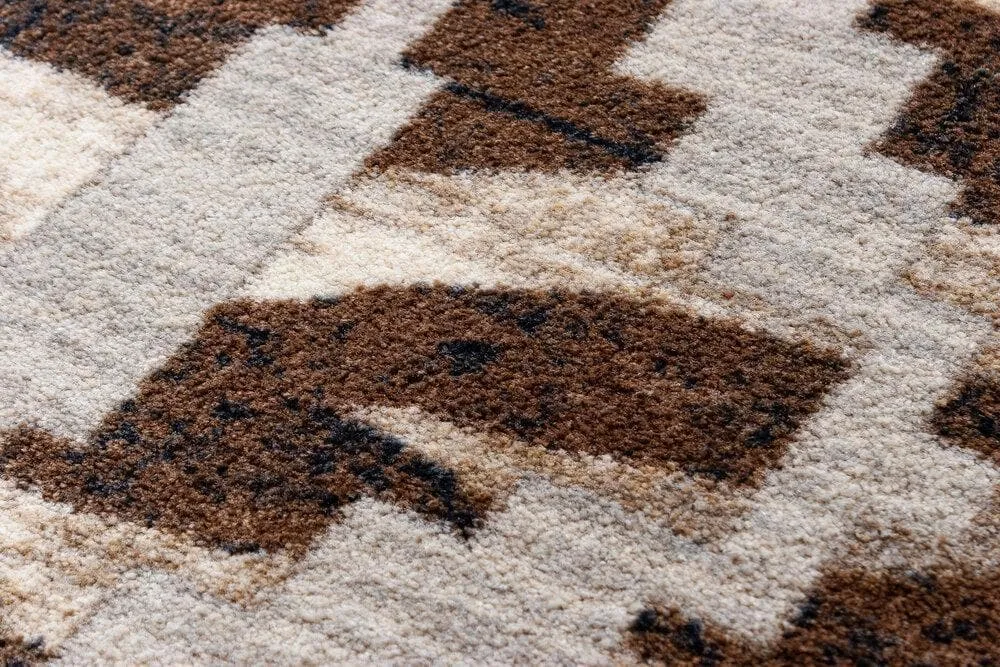 Curio Zebra Area Rug