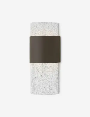 Dallis Outdoor Sconce