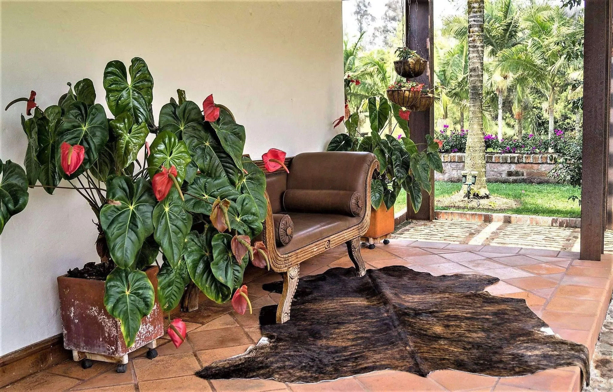 Dark Brindle Brazilian Cowhide Rug