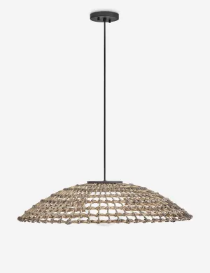 Dejana Outdoor Pendant Light