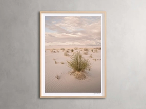 Desert Serenity Framed Print