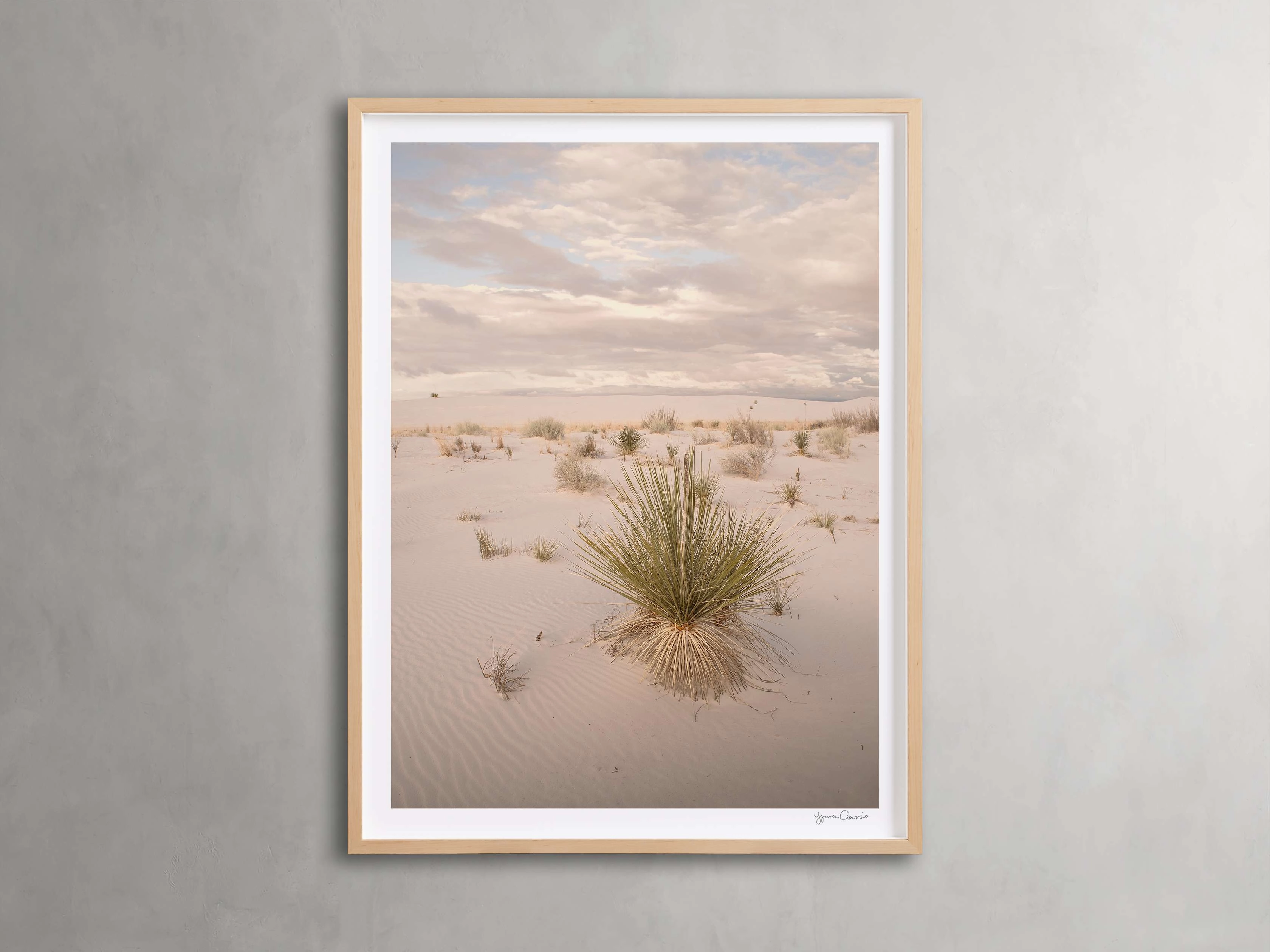 Desert Serenity Framed Print