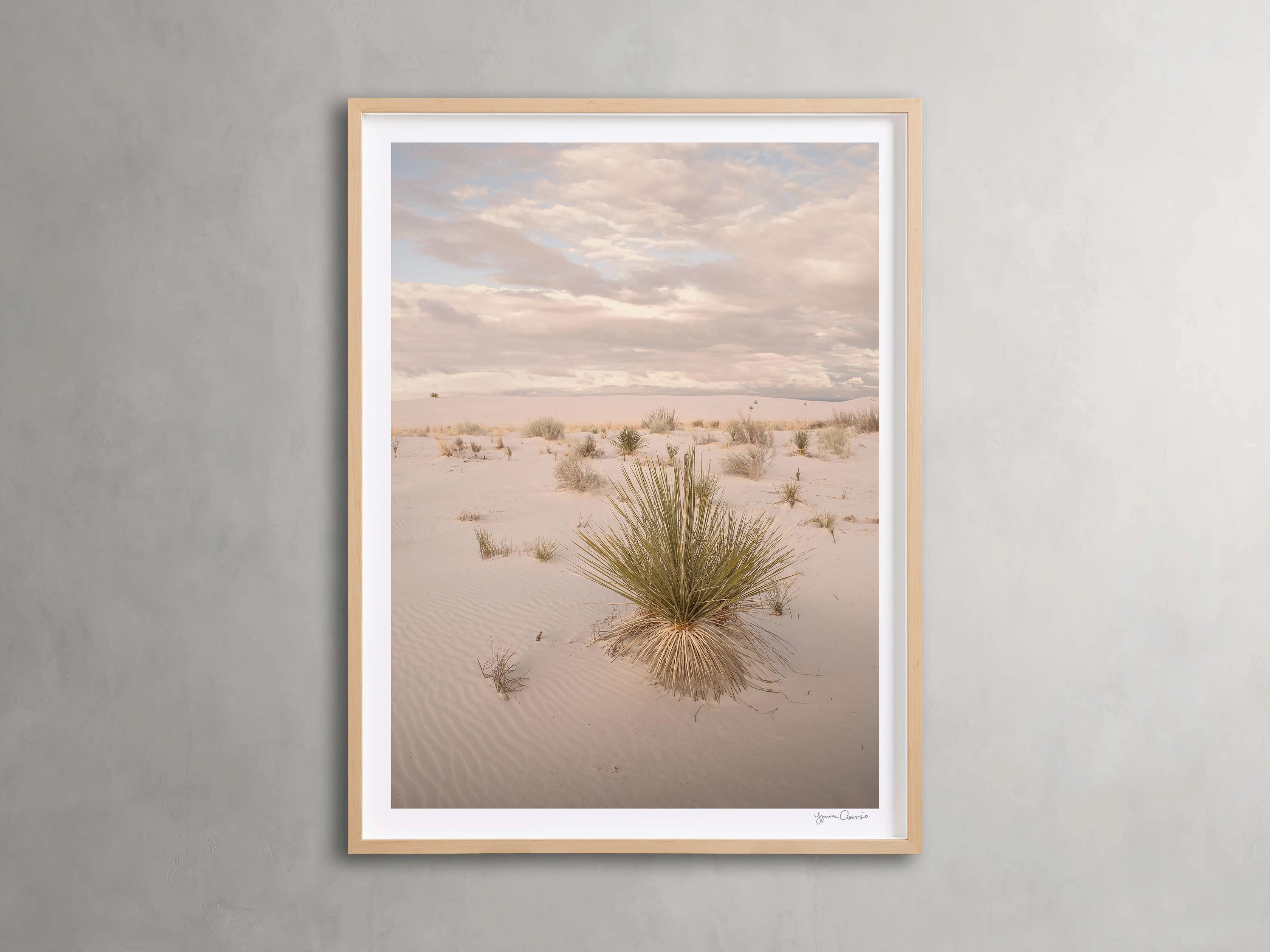 Desert Serenity Framed Print