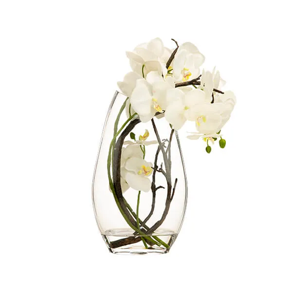 Elegant Bloom White Orchid in Clear Glass Vase