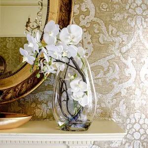 Elegant Bloom White Orchid in Clear Glass Vase kitchen essentials, utensils set