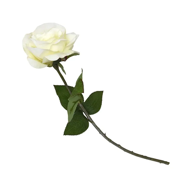 Elegant Lifelike Cream Open Rose with a Single Graceful Green Stem